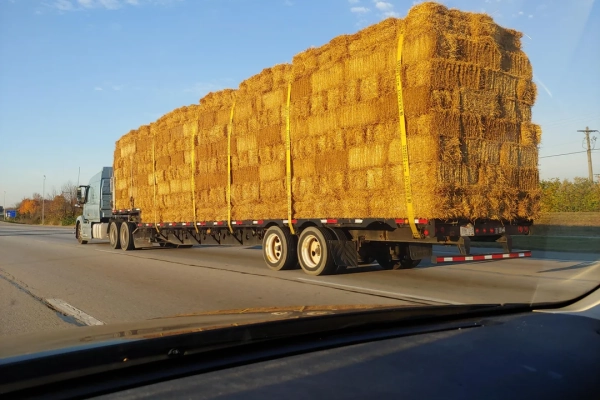 Domestic transport