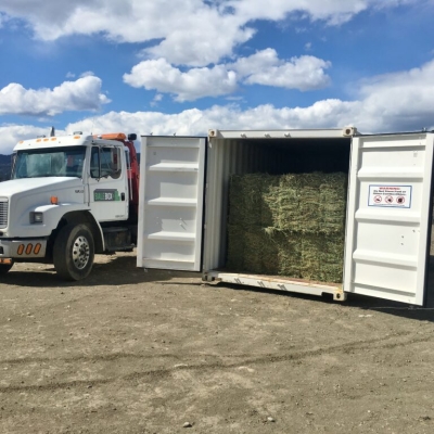 Truck-and-bin-1024x768