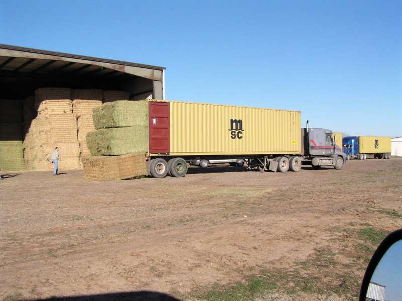 export