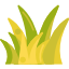 grass (2)