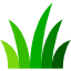 grass (3)