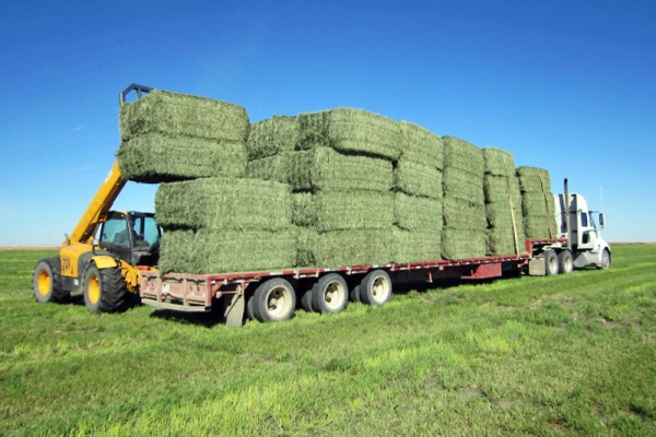 pack-hay-truck