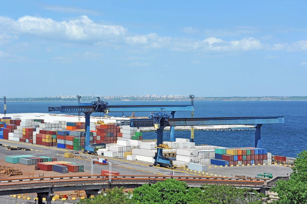 hayfrancecompany-import-export-foin